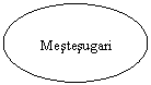 Oval: Mestesugari
