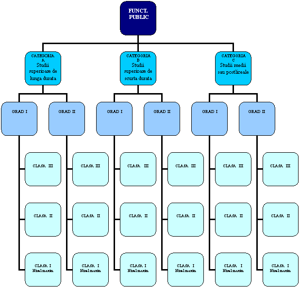 Organization Chart