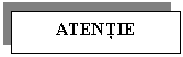 Text Box: ATENTIE