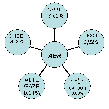 Radial Diagram