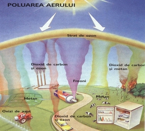 C:Documents and SettingsLUCYDesktoppoze cu atestatpoluarea aeruluiiii.jpg