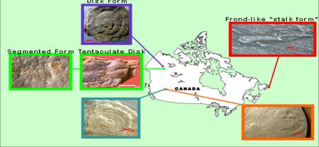 Map of Canadian localities