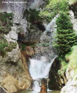 valea horoabei cascada