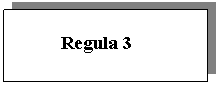 Text Box:           Regula 3
