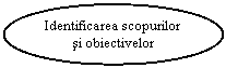 Oval: Identificarea scopurilor si obiectivelor