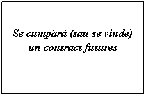 Text Box: Se cumpara (sau se vinde) un contract futures
