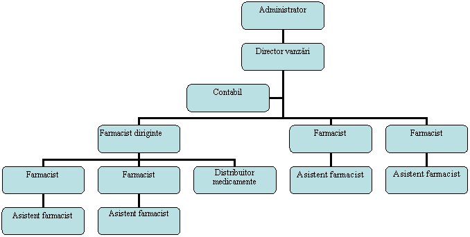 Organization Chart