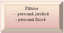 Bevel: Platitor 
    -  persoana juridica
   - persoana fizica
