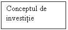 Text Box: Conceptul de investitie