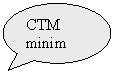 Oval Callout: CTM minim