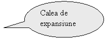 Oval Callout: Calea de expansiune