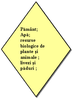 Diamond: Pamant;
Apa;
resurse biologice de plante si animale ;
livezi si paduri ;
pescuit.
