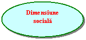 Oval: Dimensiune
sociala
