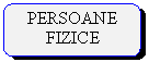 Rounded Rectangle: PERSOANE FIZICE

