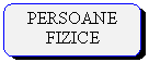 Rounded Rectangle: PERSOANE FIZICE

