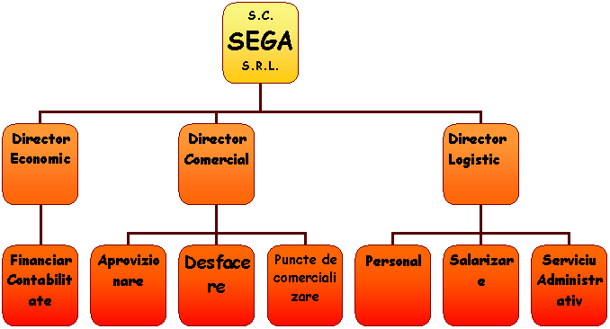 Organization Chart