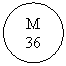 Oval: M
36
