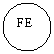 Oval: FE