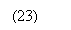 Text Box: (23)      