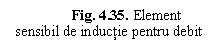 Text Box: Fig. 4.35. Element sensibil de inductie pentru debit