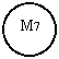 Oval: M7