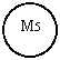 Oval: M5