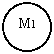 Oval: M1