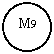 Oval: M9