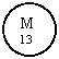 Oval: M
13
