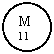 Oval: M
11
