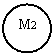 Oval: M2