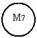 Oval: M7