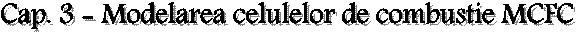 Cap. 3 - Modelarea celulelor de combustie MCFC