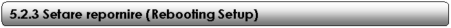 Rounded Rectangle: 5.2.3 Setare repornire (Rebooting Setup)