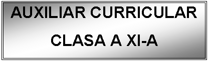 Text Box: AUXILIAR CURRICULAR
CLASA A XI-A
