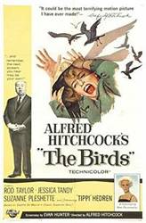 the birds