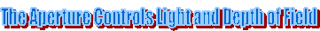 The Aperture Controls Light and Depth of Field