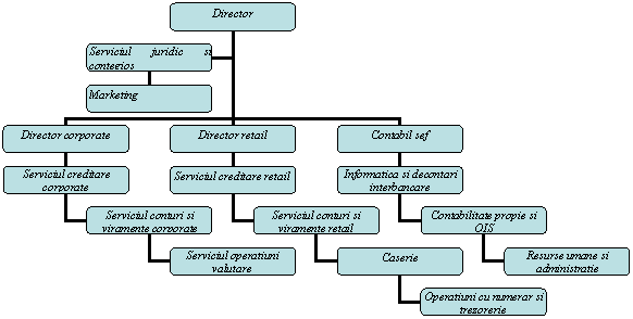 Organization Chart