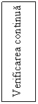 Text Box: Verificarea continua