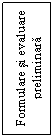 Text Box: Formulare si evaluare preliminara