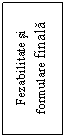 Text Box: Fezabilitate si formulare finala