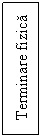 Text Box: Terminare fizica