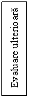 Text Box: Evaluare ulterioara