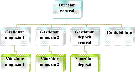 Organization Chart