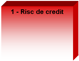 Text Box: 1 - Risc de credit