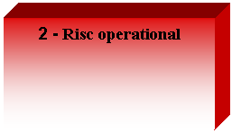Text Box: 2 - Risc operational