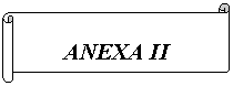 Horizontal Scroll:        ANEXA II
