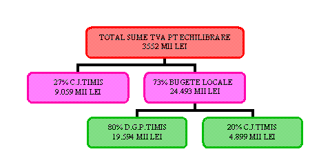 Organization Chart