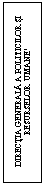 Text Box: DIRECTIA GENERALA A POLITICILOR SI RESURSELOR  UMANE5