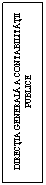 Text Box: DIRECTIA GENERALA A CONTABILITATII PUBLICE